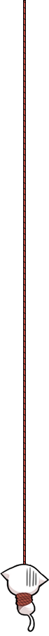 Scroll to top